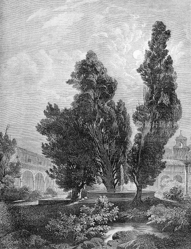 典型的意大利景观:回廊凉廊，教堂，喷泉和美丽的柏树- 19世纪雕刻